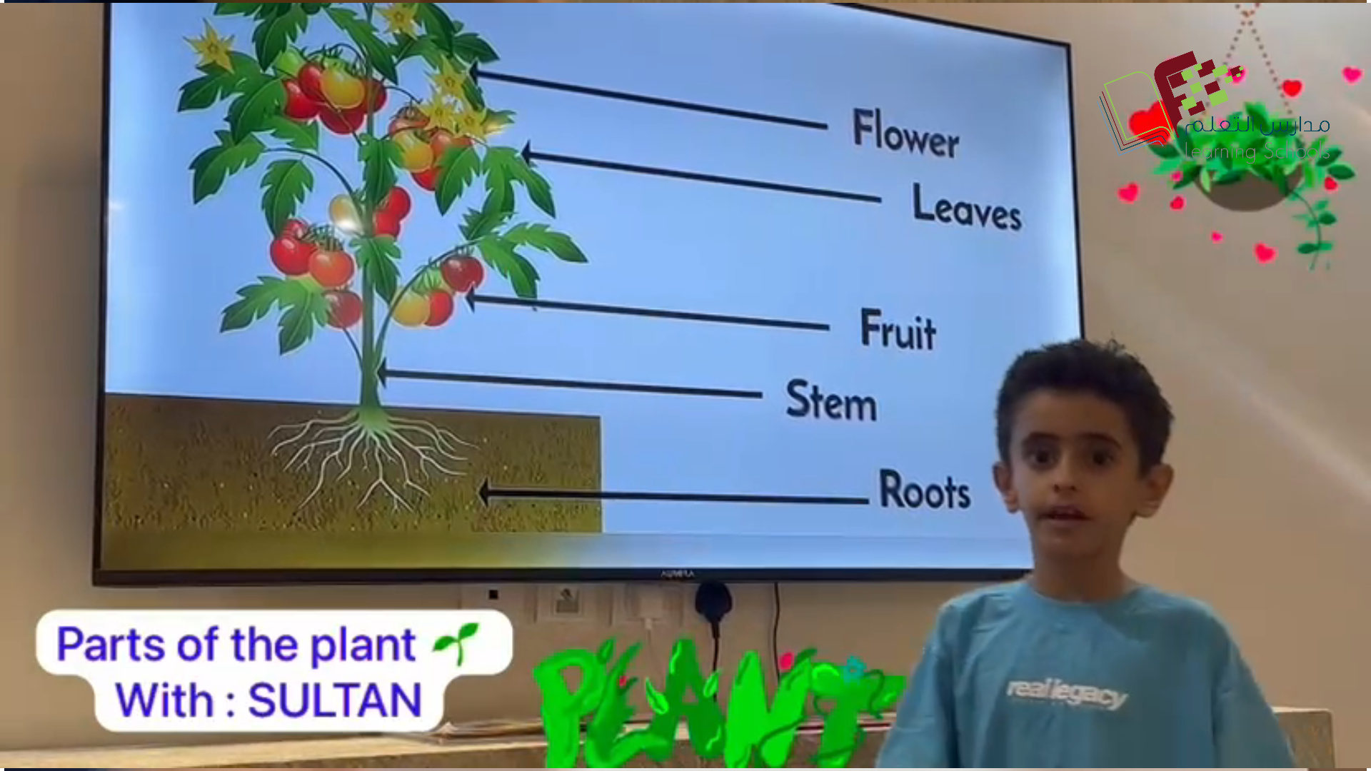 Parts of the plant 